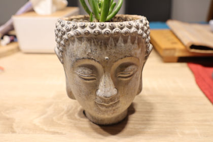 Thumbnail of a stone plant pot shaped like a face, from a Canon CR3 file